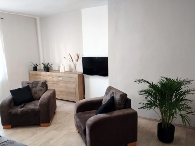 Modern obývací pokoj s pohovkami, televizorem a rostlinami.