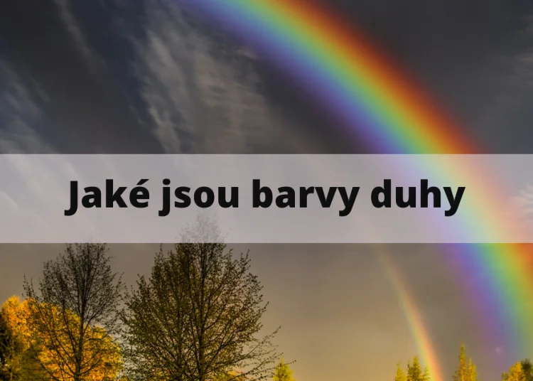 Rainbow over trees and sky