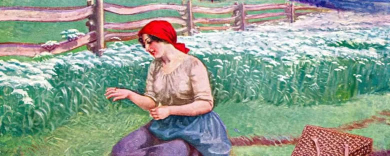 Žena v poli mezi kvetoucími rostlinami u plotu.