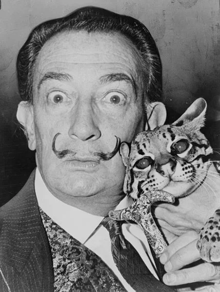 Salvador Dalí s kočkou Don Juánem v surrealistickém stylu.