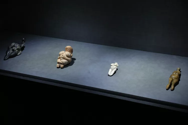 Výstava věstonických venuší v muzeu s historickým kontextem.