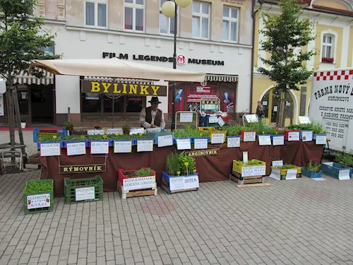 Trh s bylinkami na náměstí v Poděbradech před muzeem.