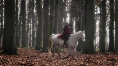 Person on white horse in forest
