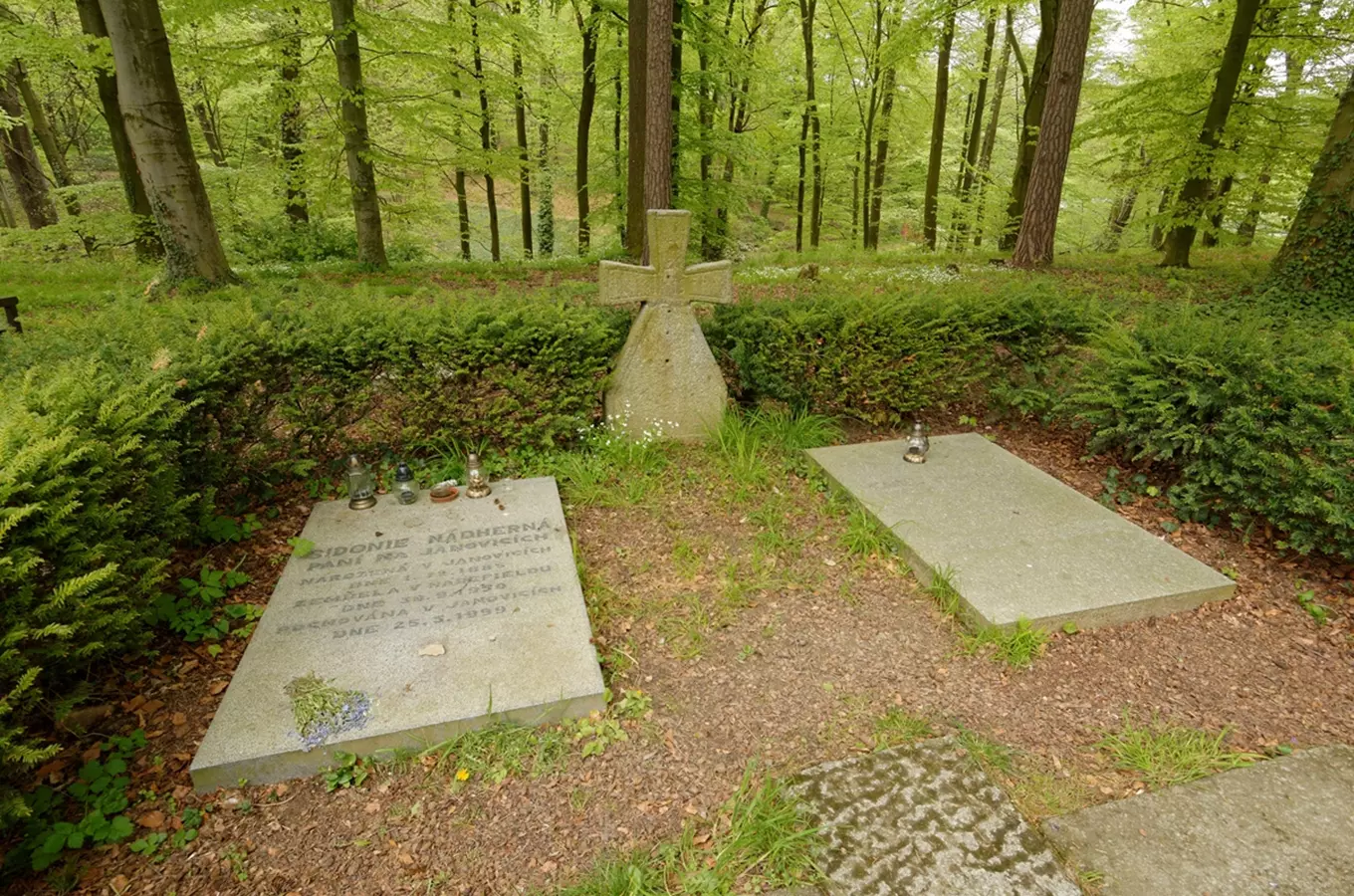 Hrobka Sidorie Nádherné v lesním hřbitově s křížem.