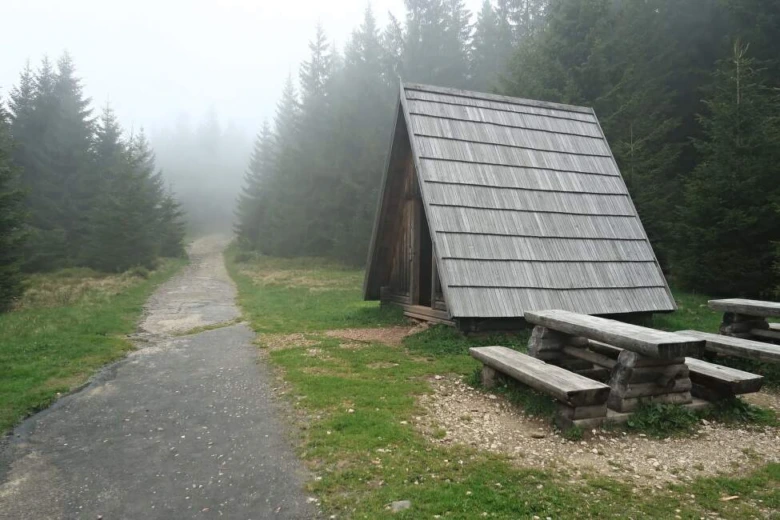 Dřevěný útulek s lavičkami vedle cesty v mlhavém lesu.