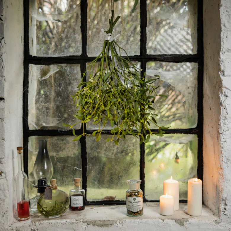 Mistletoe hanging in window