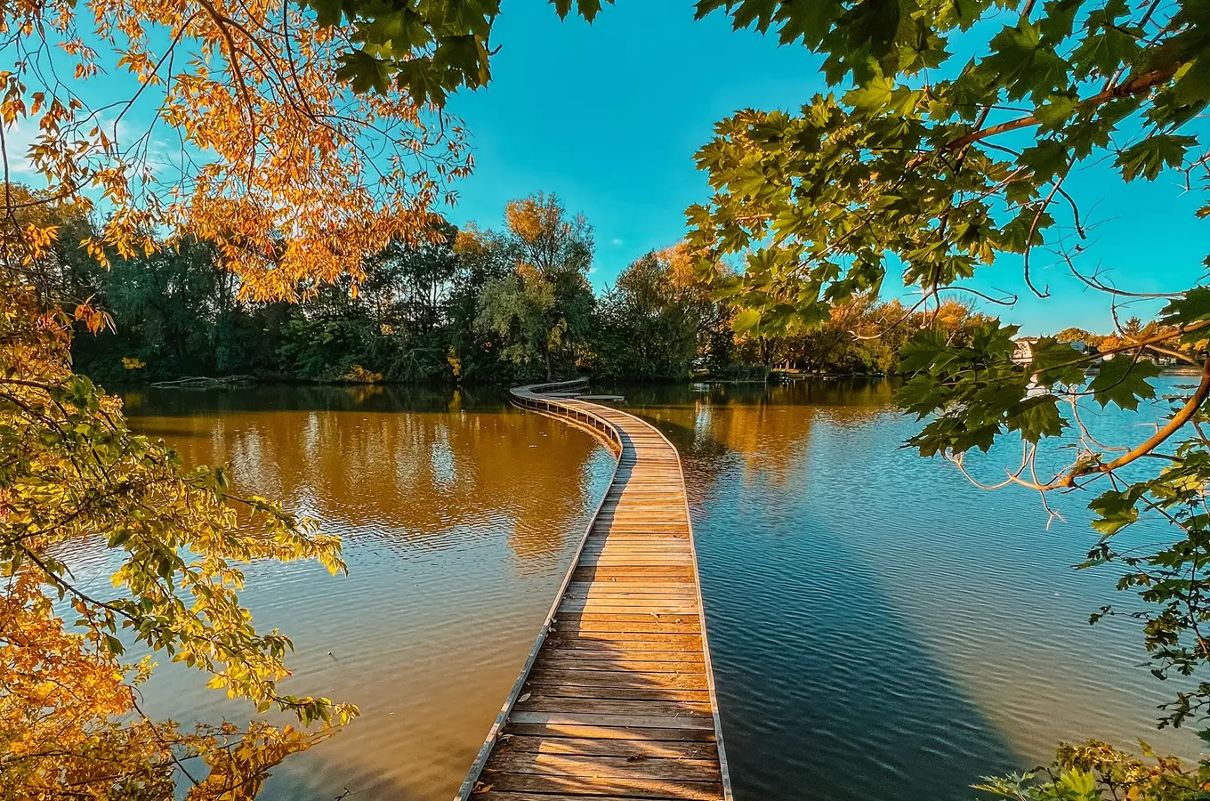 Dřevěná chodníková cesta přes jezero s podzimními stromy.