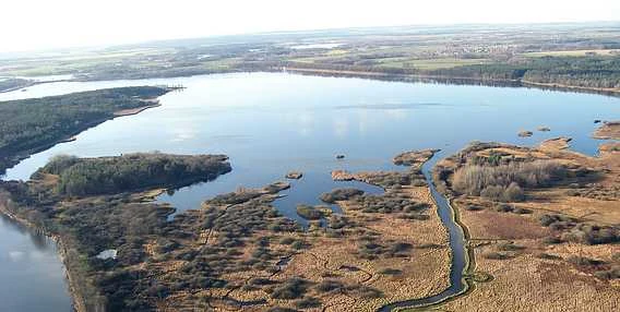 Pohled na jezero v krajině kolem Třeboní s lesy a mokřady.