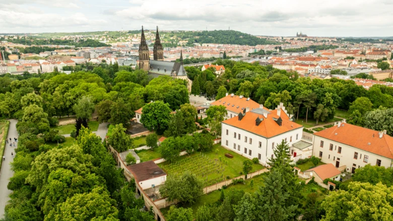 Pohled na hrad Veveří s kostelem a Prahou v pozadí.