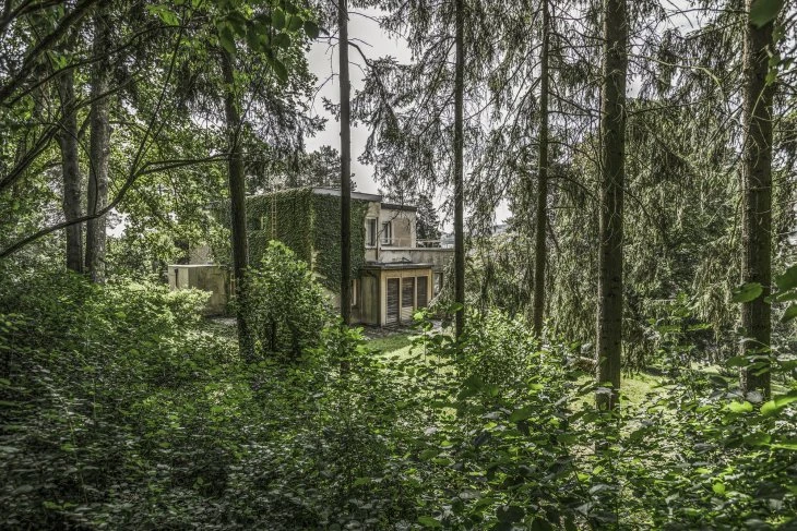 Žikmundova vila porostlá liánami uprostřed lesa.