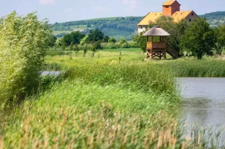 Dřevěná věž u jezera s historickým domem na pozadí.