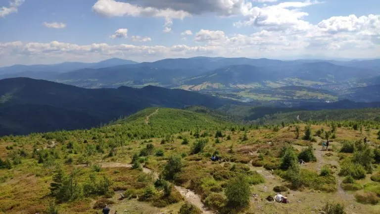 Pohled na horu v Krkonoších s turisty po lesních cestách.