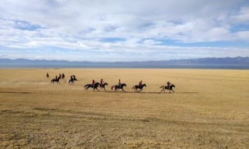 Horse riders on grassland