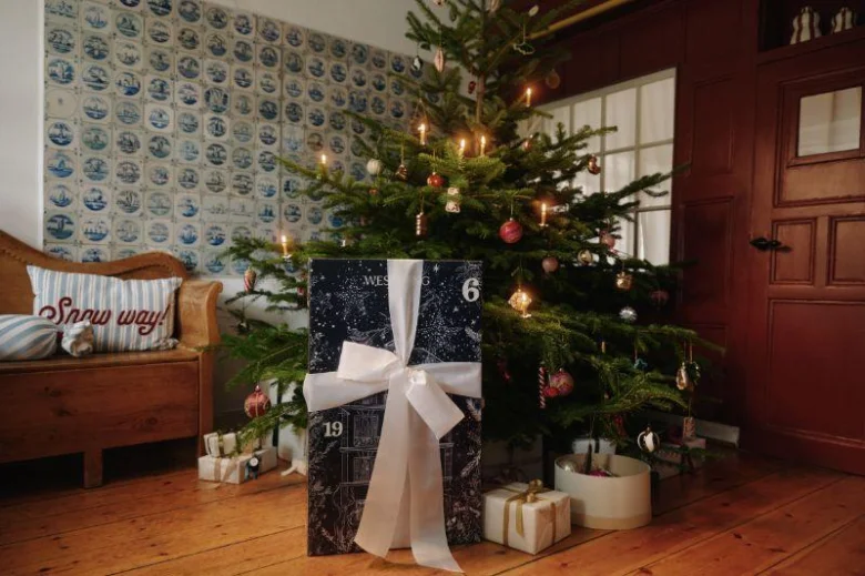 Advent calendar and christmas tree