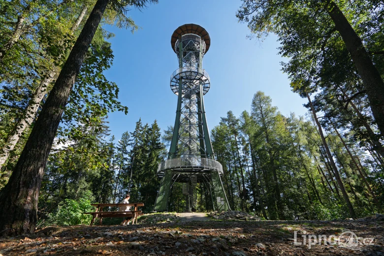 Výhledová rozhledna v lesu na Horní Plané nebo Dobré Vodě.