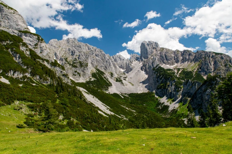 Zelené alpské louky pod skalnatými vrcholy Rakouských Alp.