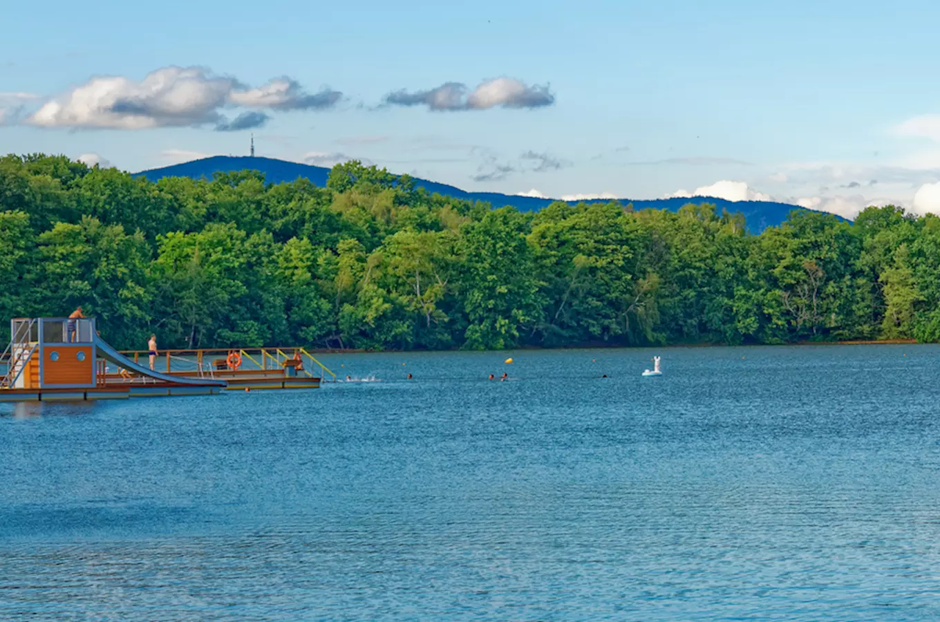 Kamencové jezero v Chomutově s plaváním u lesa