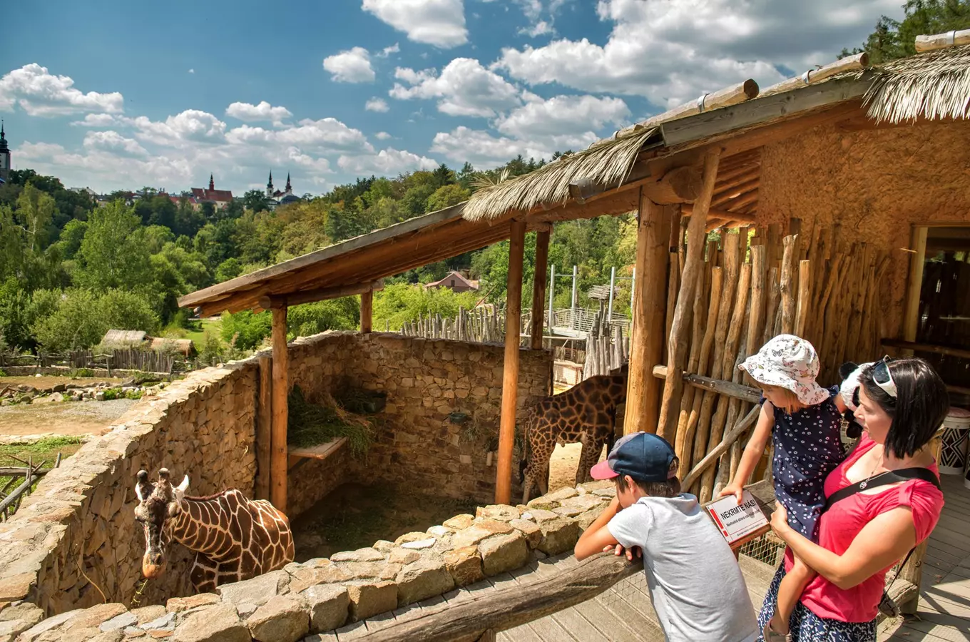 Family visiting giraffes at zoo