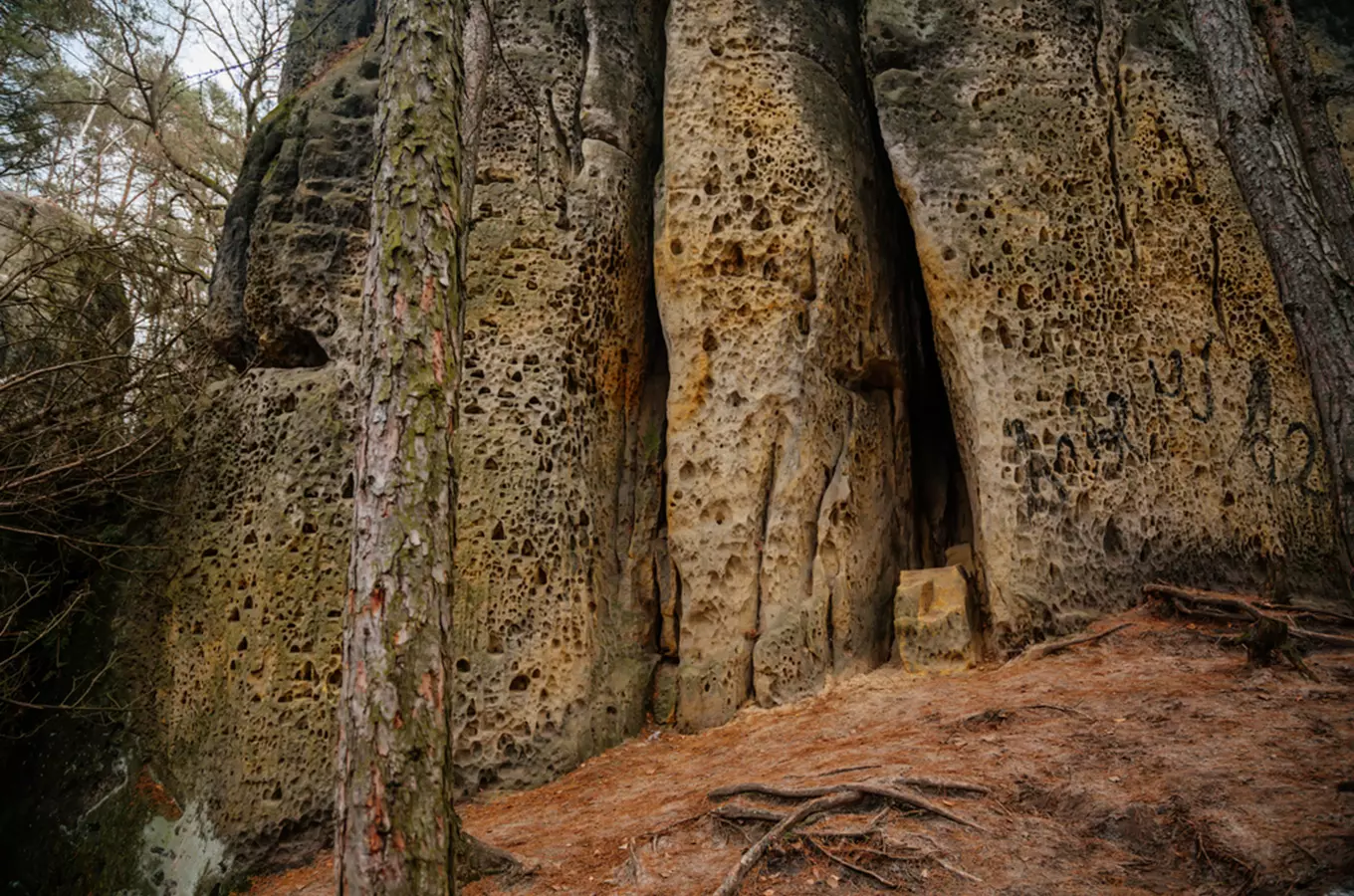 Pískovcové skály v lese ve Středočeském kraji