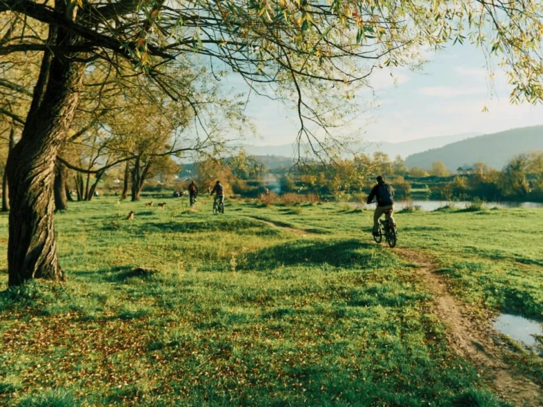 Lidé jezdí na kole v parku u vody s podzimními stromy.