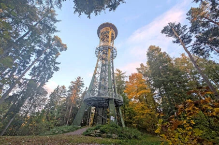 Věž rozhledny Horní Planá v podzimním lese.