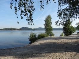 Pohled na Máchovo jezero s břehem stromy v popředí.