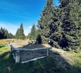 Konkrétní nouzové nocoviště v lesu Šumava s okolními smrky.