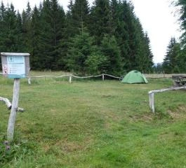 Tentová nocoviště v lesní clearing na území Šumavy