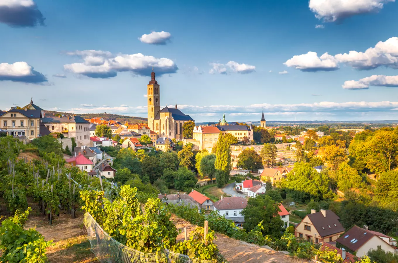 Pohled na město Kutná Hora s kostelem a vinicemi.