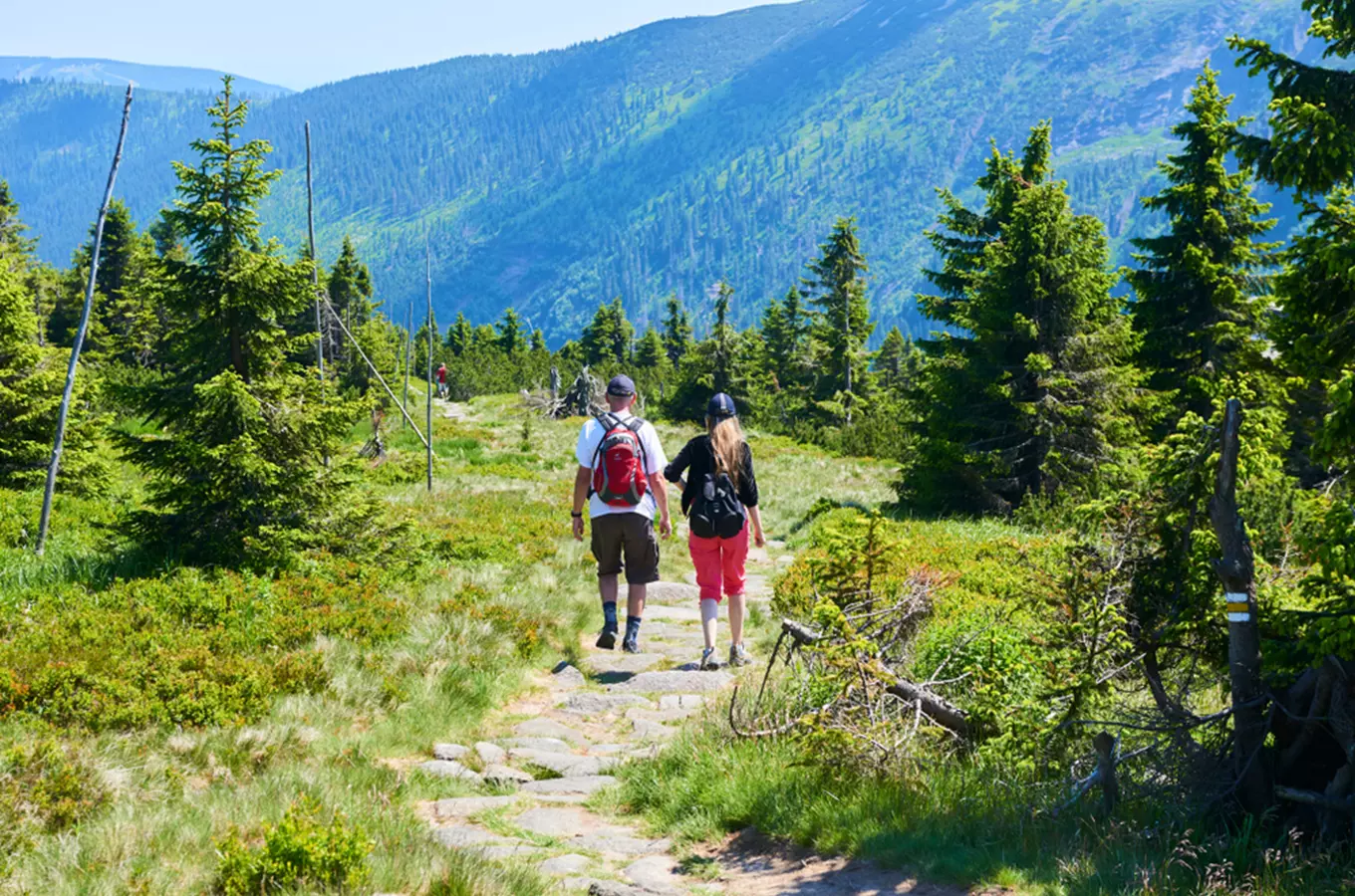 Dva turisté jdou po stezce v Krkonoších mezi stromy.