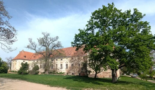 Zámek Jaroslavice s červenou střechou mezi stromy.