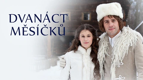 Dvanáct měsíčků movie poster