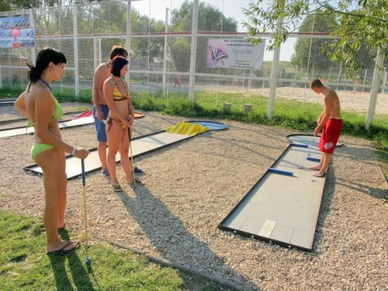 People playing mini golf