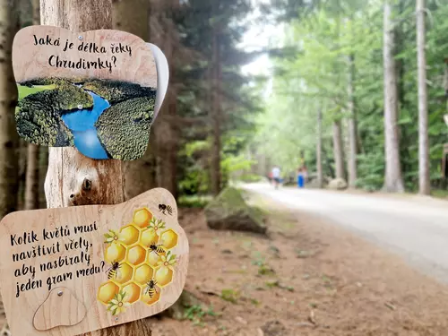 Dřevěné cedule s otázkami na stromu v lese u Hlinska.