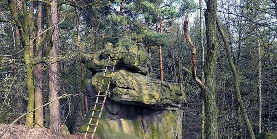 Skalní útvar s dřevěným žebříkem v lese ve Středočeském kraji.